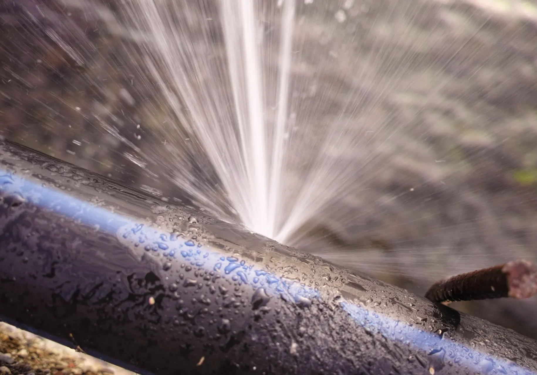 AdobeStock_234736184-1920w